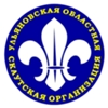 Ульяновская областная скаутская организация